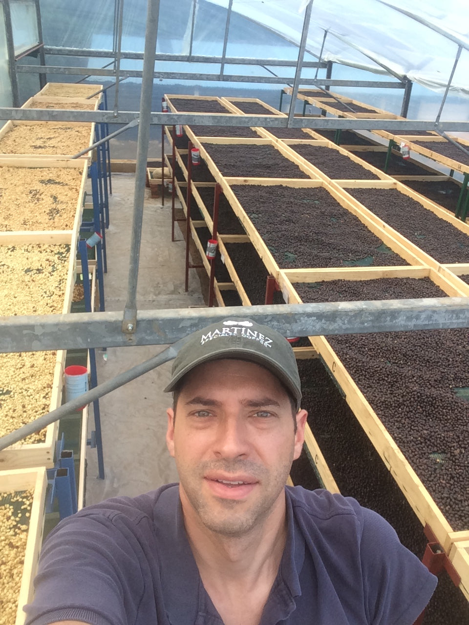 Natural Process Coffee: What It Takes on Our Family Farm