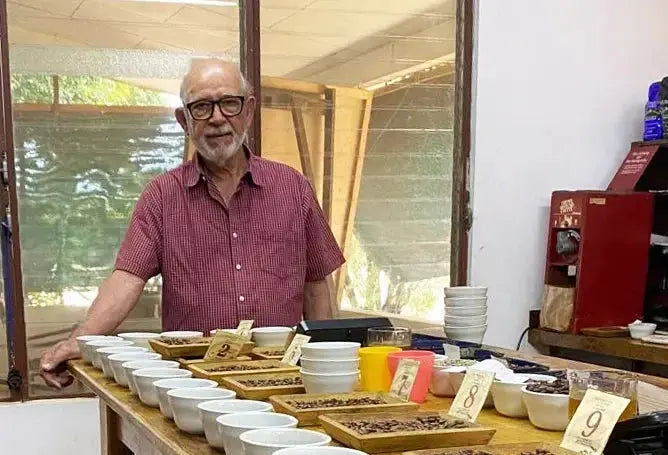 Image of a coffee cupping table