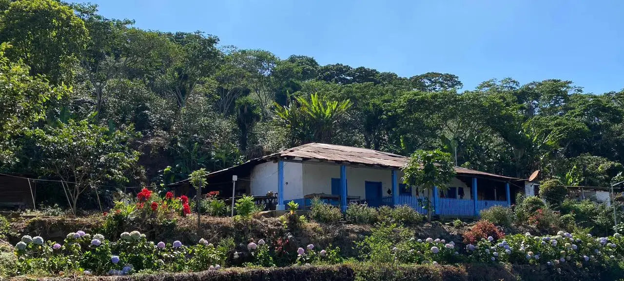 Image of Coffee Farm in El Salvador with blue skies and vegetation