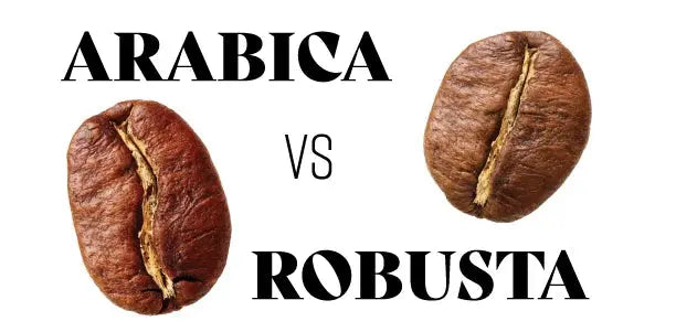 Arabica Coffee Beans vr Robusta Coffee Beans