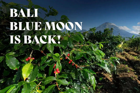 Blue Moon coffee freshly roasted specialty beans