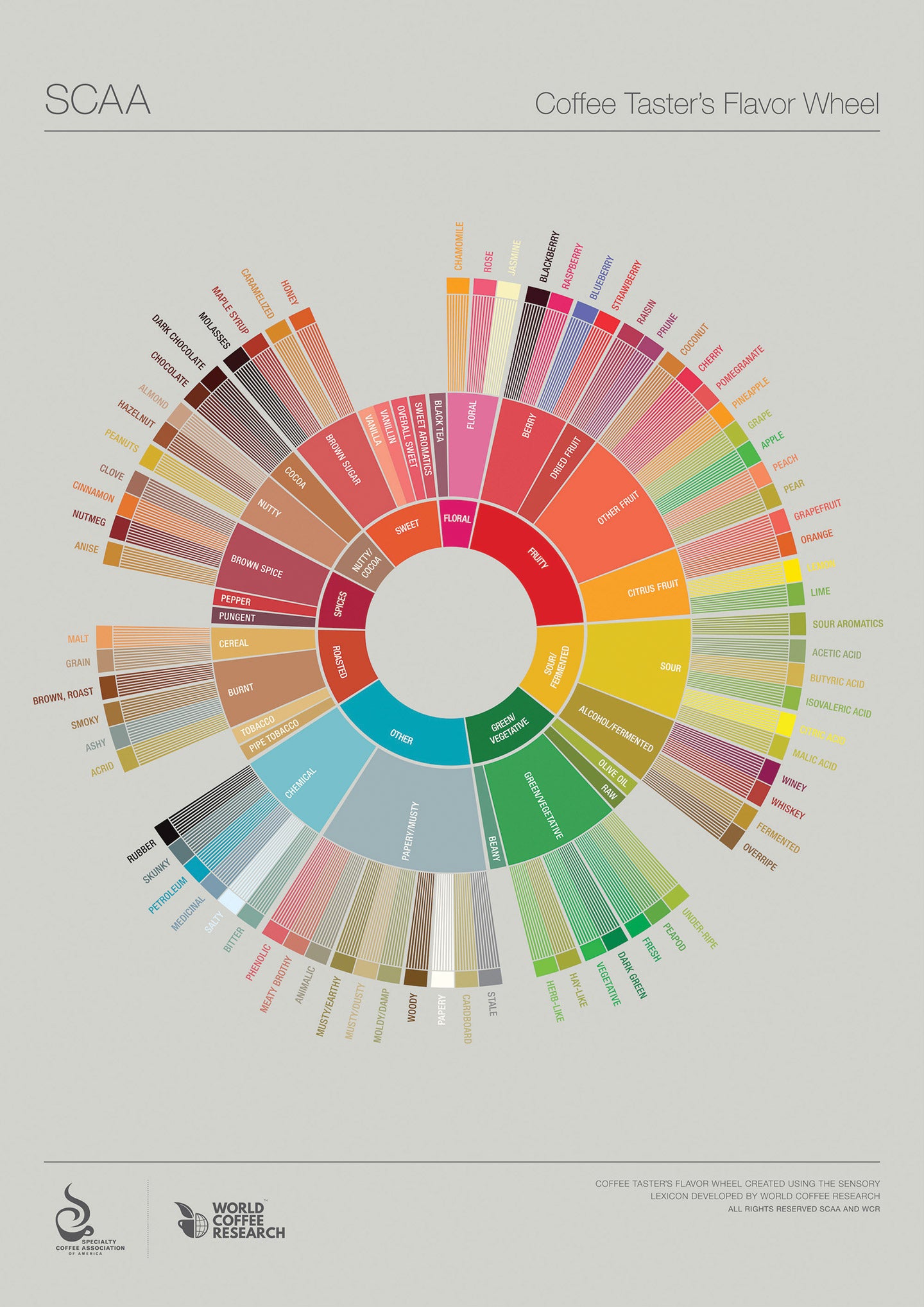 COFFEE FLAVOUR PROFILES