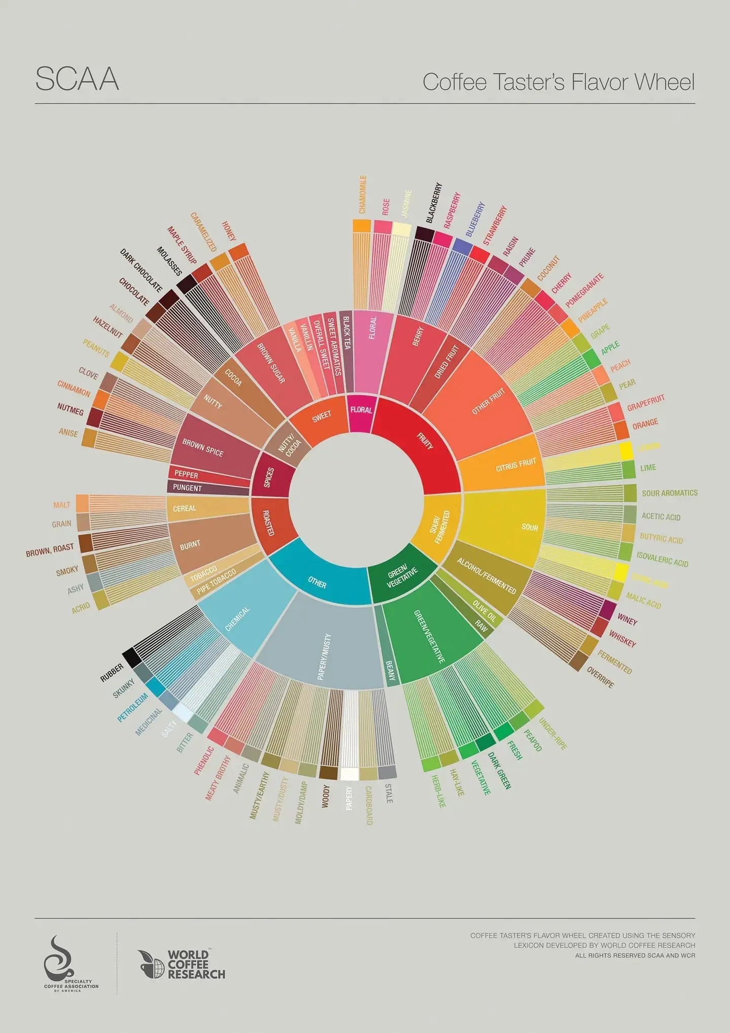 Coffee Flavour Wheel