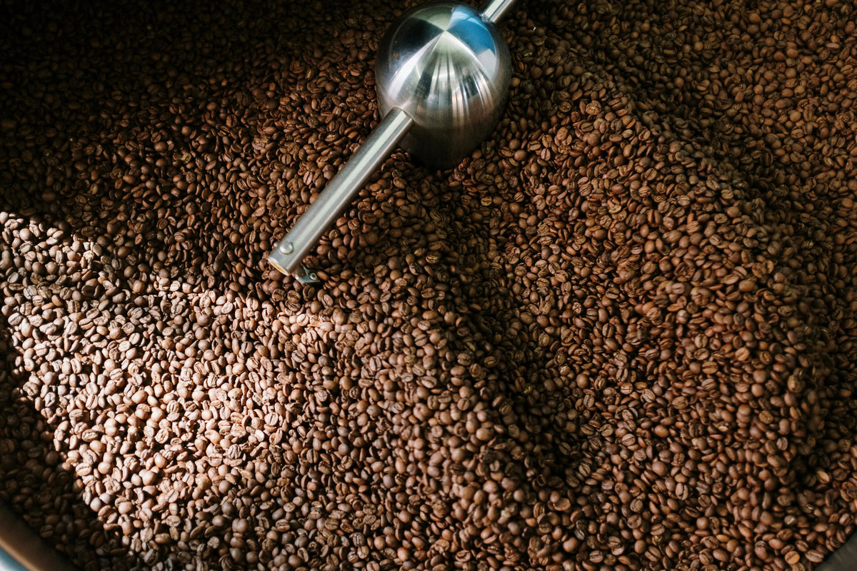 Freshly roasted coffee coming out of the roaster in Calgary