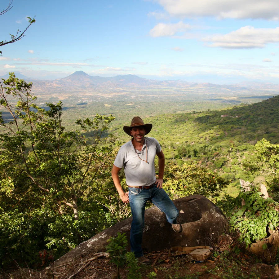 Person standing on a rocky outcrop with a scenic landscape of a coffee plantation in the background