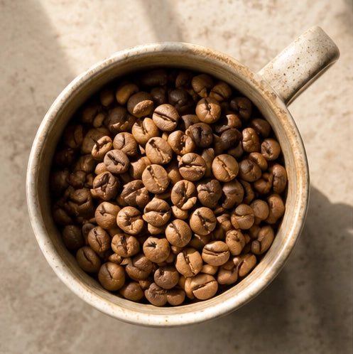 Cup filled with specialty coffee beans Medium roast, single origin on a textured surface