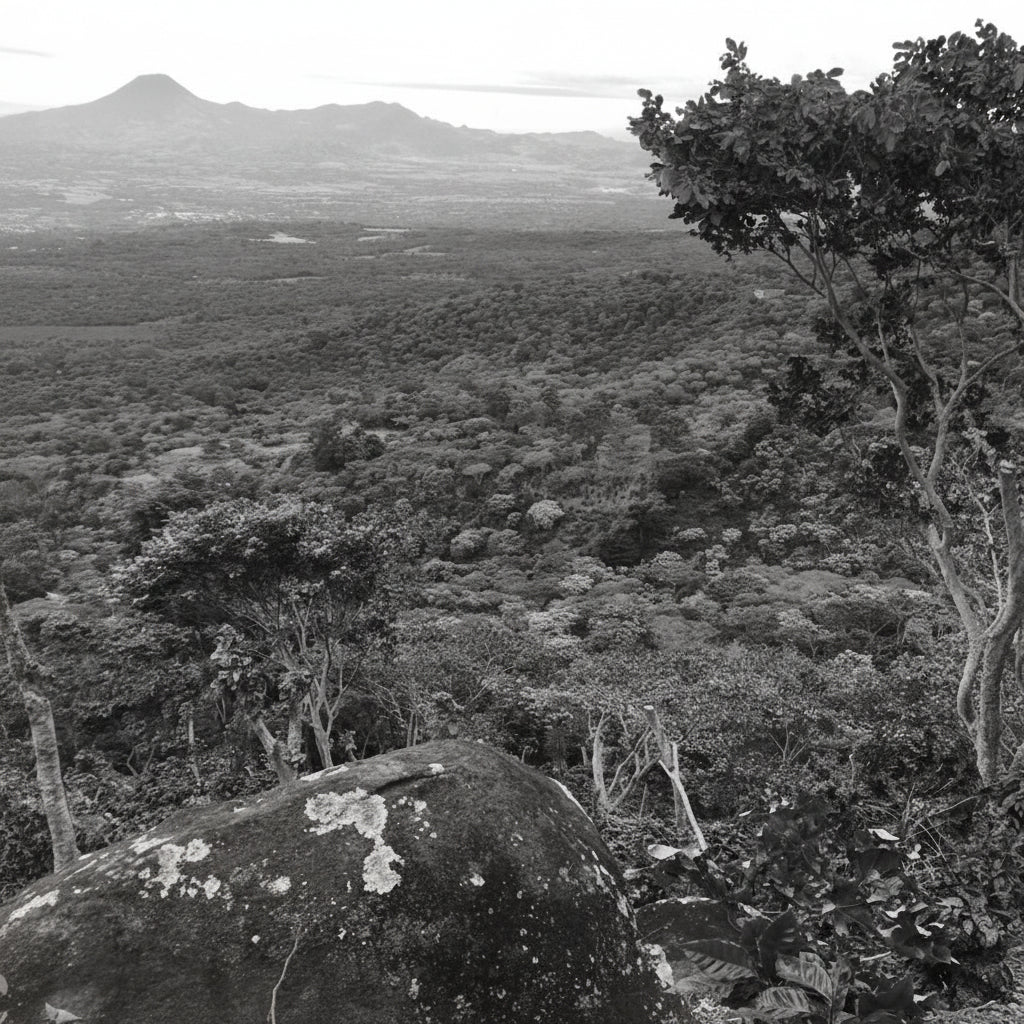 Scenic view of a lush green landscape in a coffee farm with mountains in the distance.