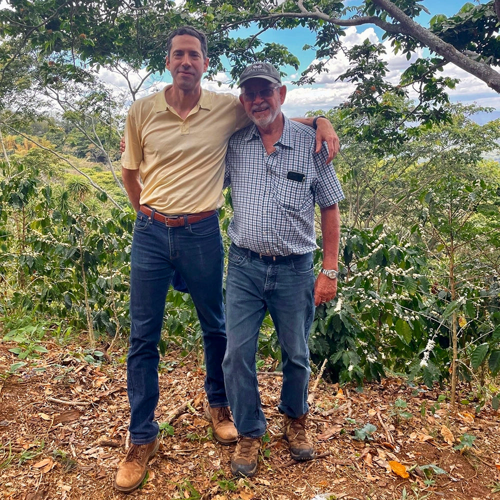 Two men standing in a coffee plantation with trees and sky in the background