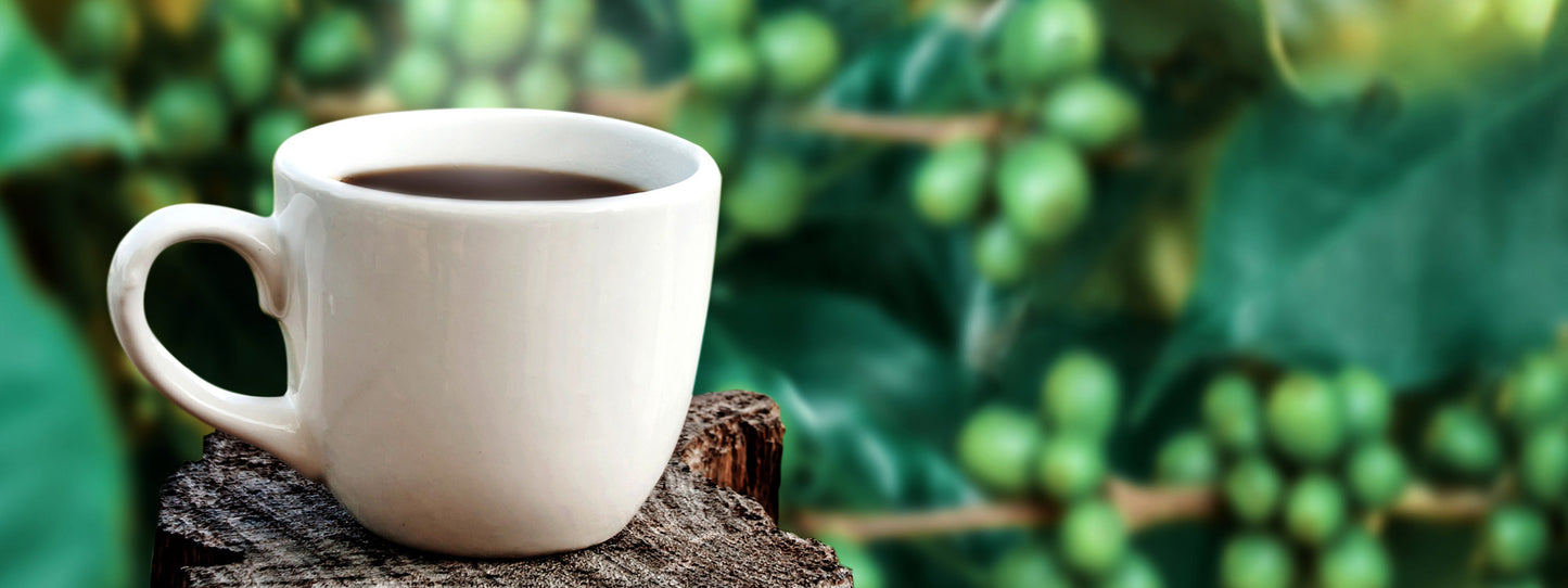 Crickle Creek Coffee Roasters